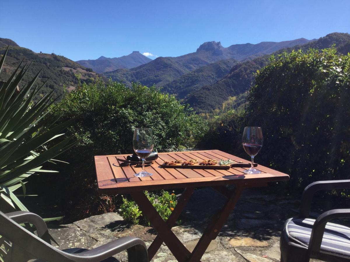 Olmares Terrace - Picos De Europa Apartment Lomeña