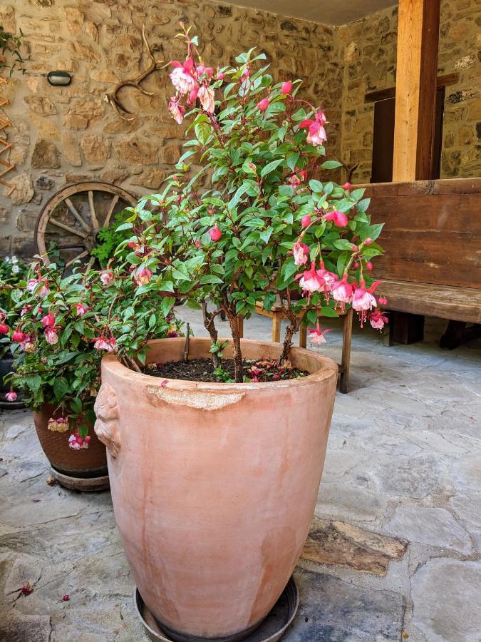 Appartement Olmares Terrace - Picos De Europa